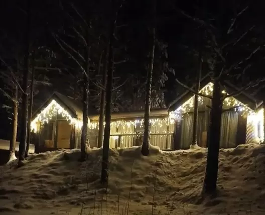 Одноэтажный каркасный дом 15х9 м